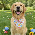 Handmade Summer Pet Bandana